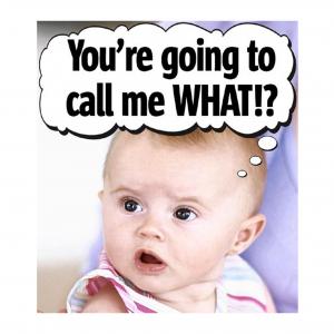 Photo: Grand Haven Tribune