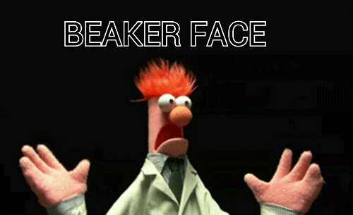 Beaker_Face_crpt.jpg image