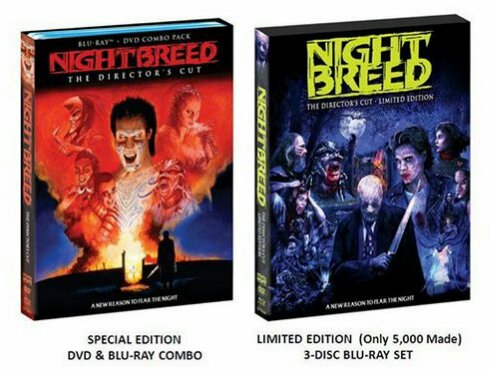 scream-dvd.jpeg image